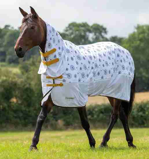 Tempest Dandelion Fly Sheet