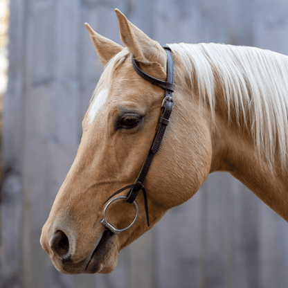 Velociti One Ear Headstall