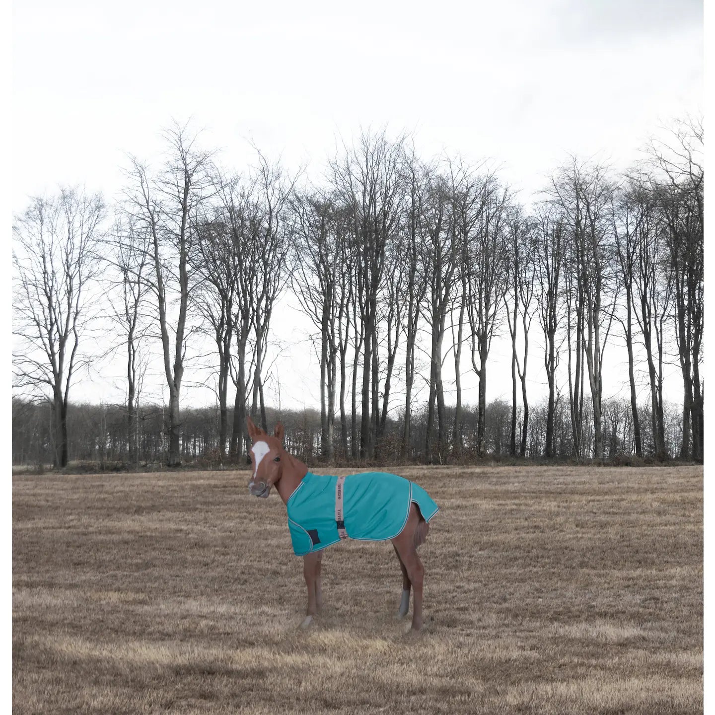 Tuffrider 1200D Ripstop Foal Adjustable Turnout Blanket