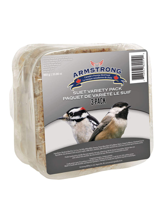 High Energy Suet