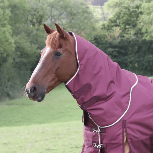 Highlander Plus 100gm Neck Cover