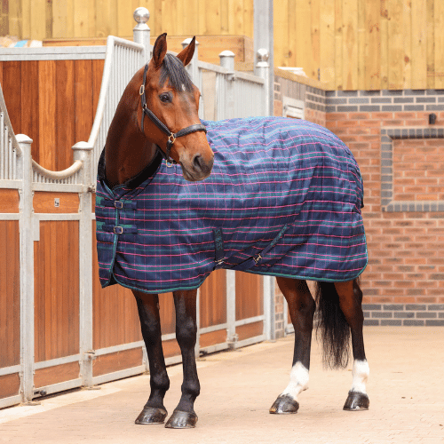 Pre-Order Tempest Plus 100g Stable Rug