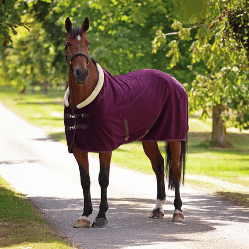 Pre-Order Shires Deluxe Fleece Cooler