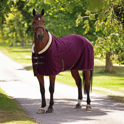 Pre-Order Shires Deluxe Fleece Cooler