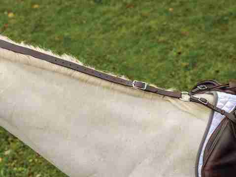 Avignon Leather Daisy Rein