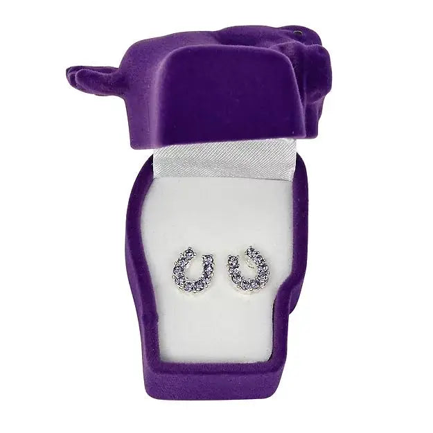 AWST Rhinestone Horseshoe Earrings