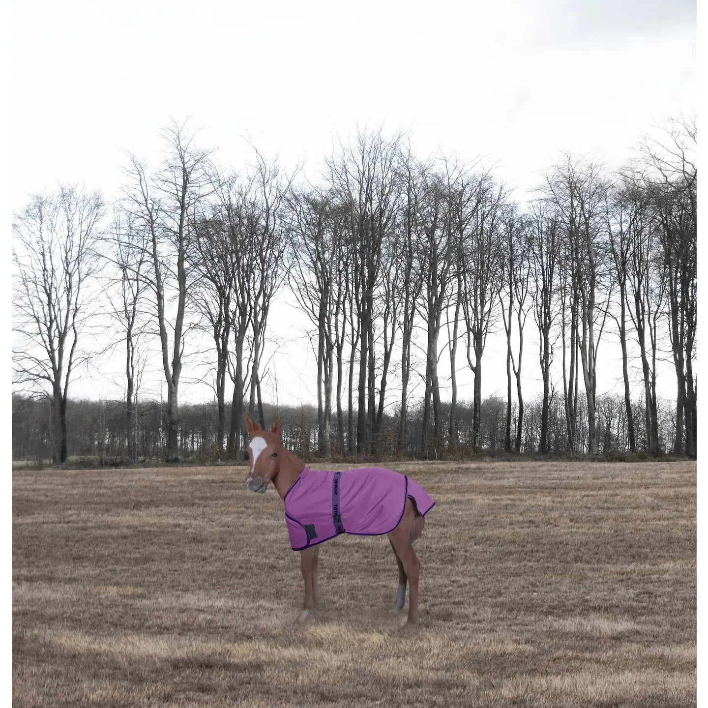 Tuffrider 1200D Ripstop Foal Adjustable Turnout Blanket