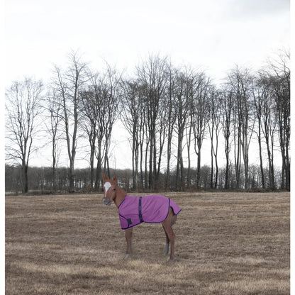 Tuffrider 1200D Ripstop Foal Adjustable Turnout Blanket