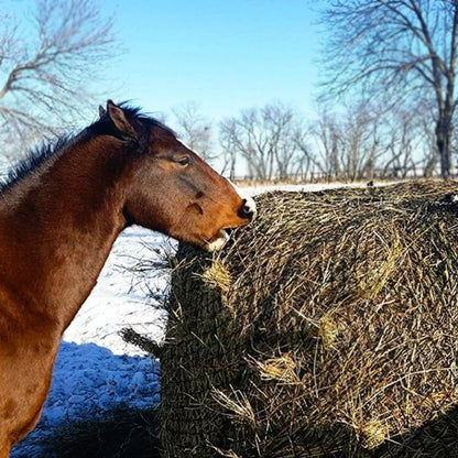 Handy Hay Net Small Round Bale