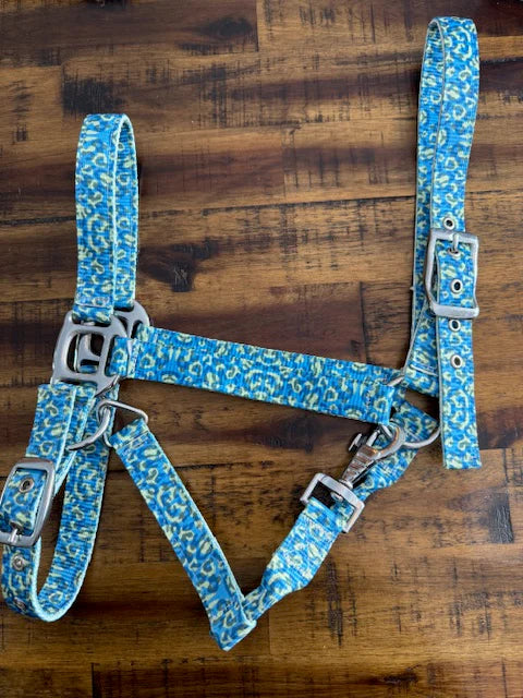 Nylon Blue Leopard Halter