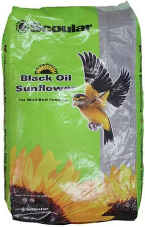 Black Oil Sunflower 50lbs